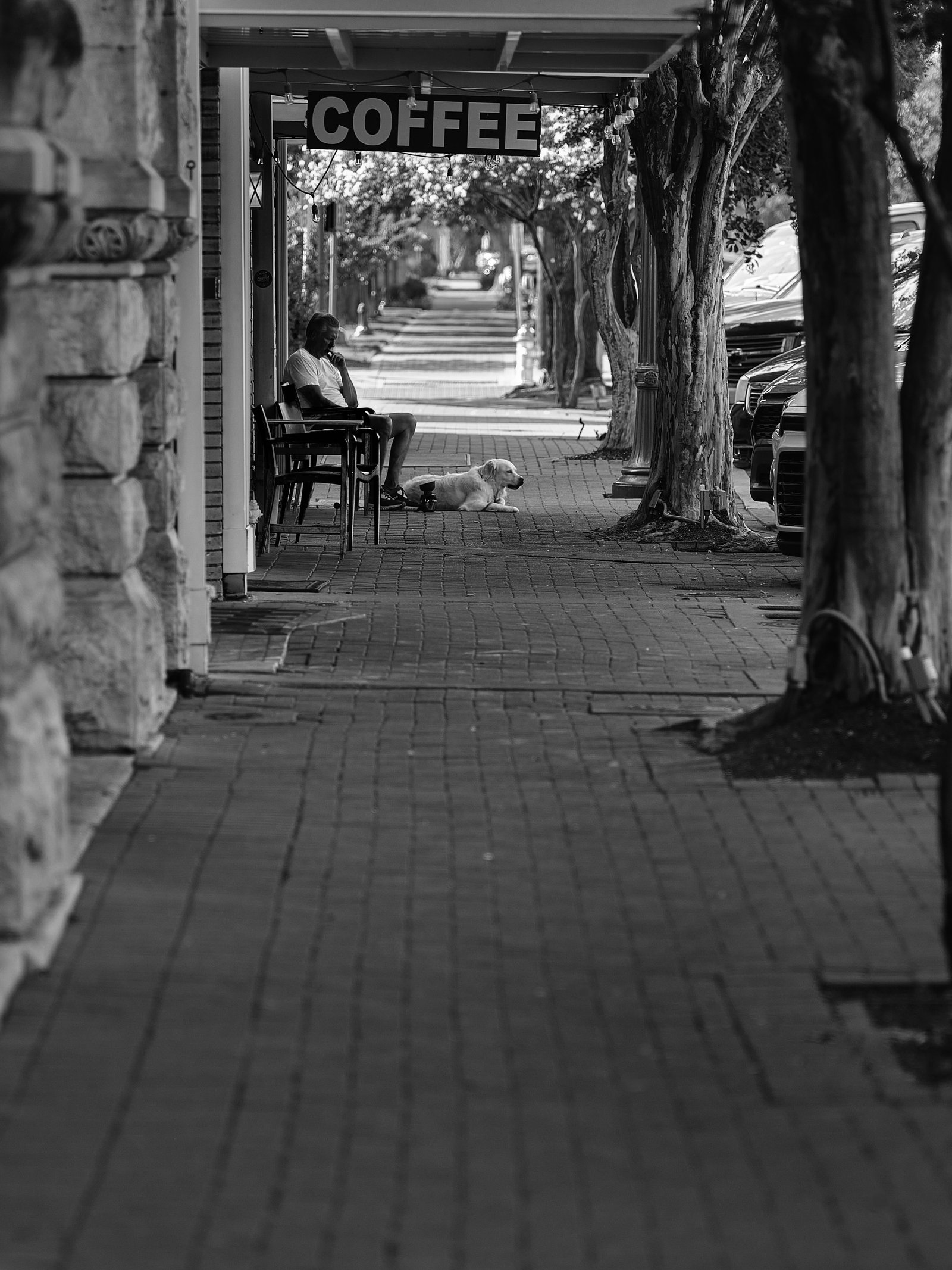 Contact A man, his dog and a coffee shop.