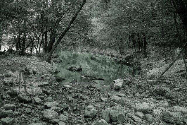 Contact A little green filter on my black and white.