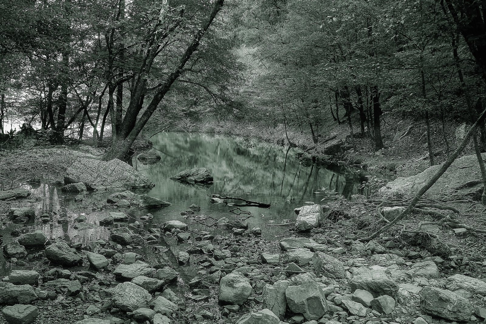 Contact A little green filter on my black and white.